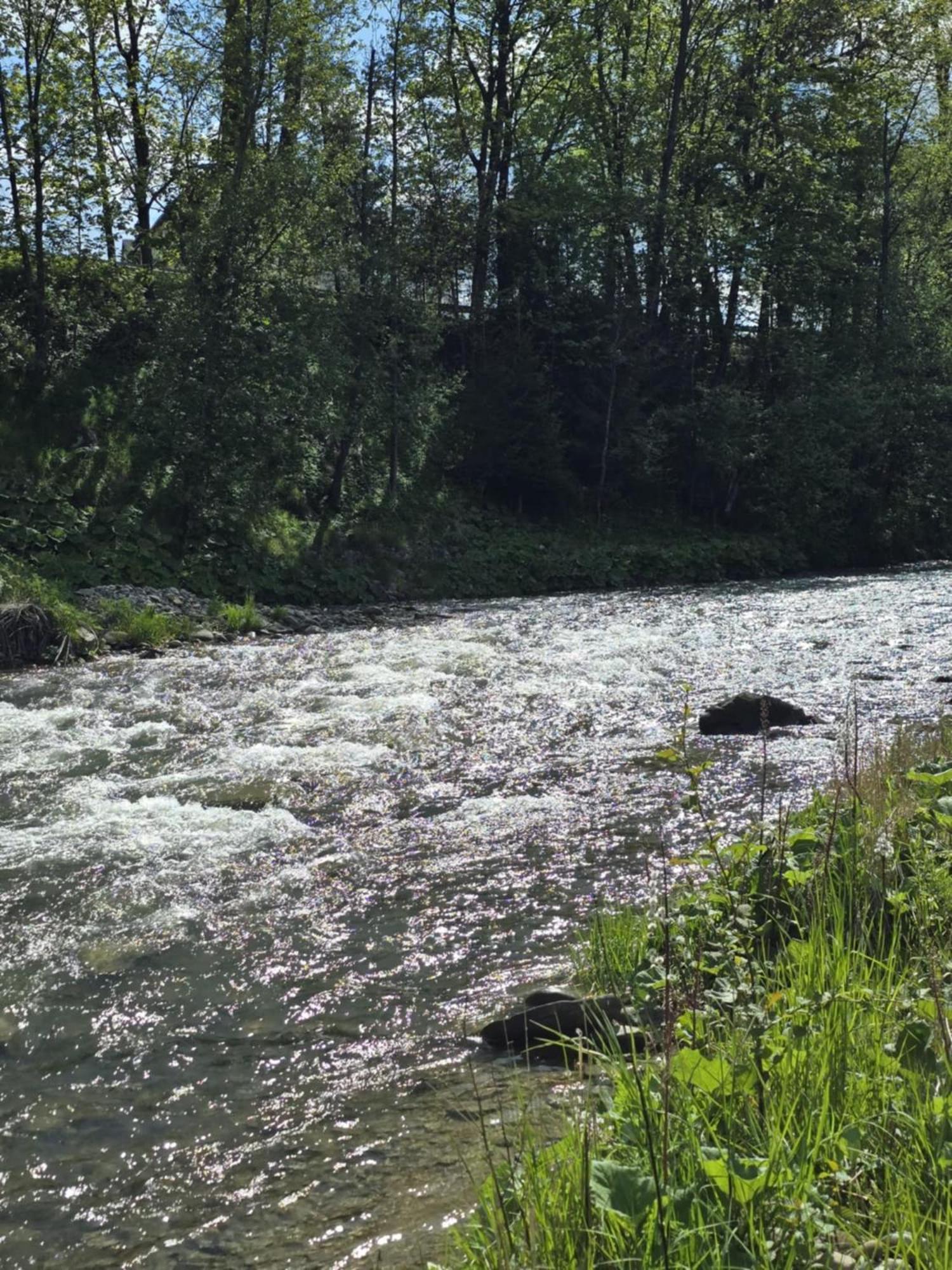 Chocholowska Zohylina Pokoje I Domek Exteriér fotografie